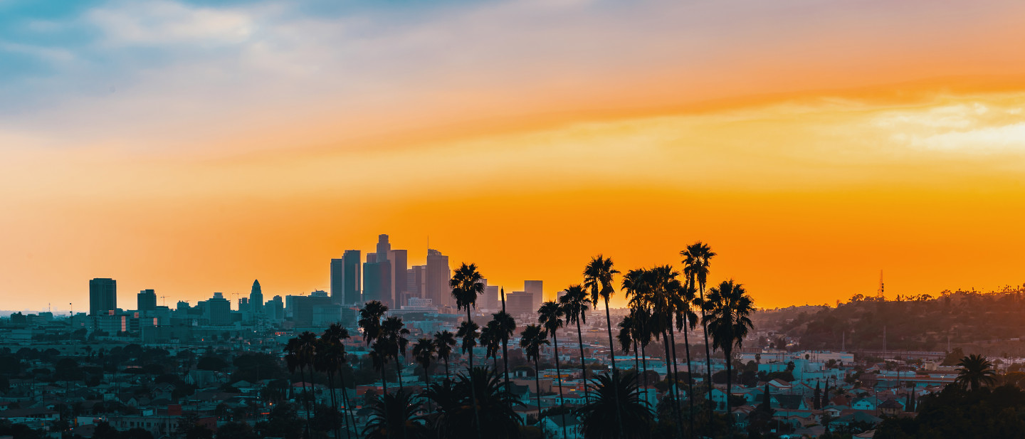 Los Angeles Skyline