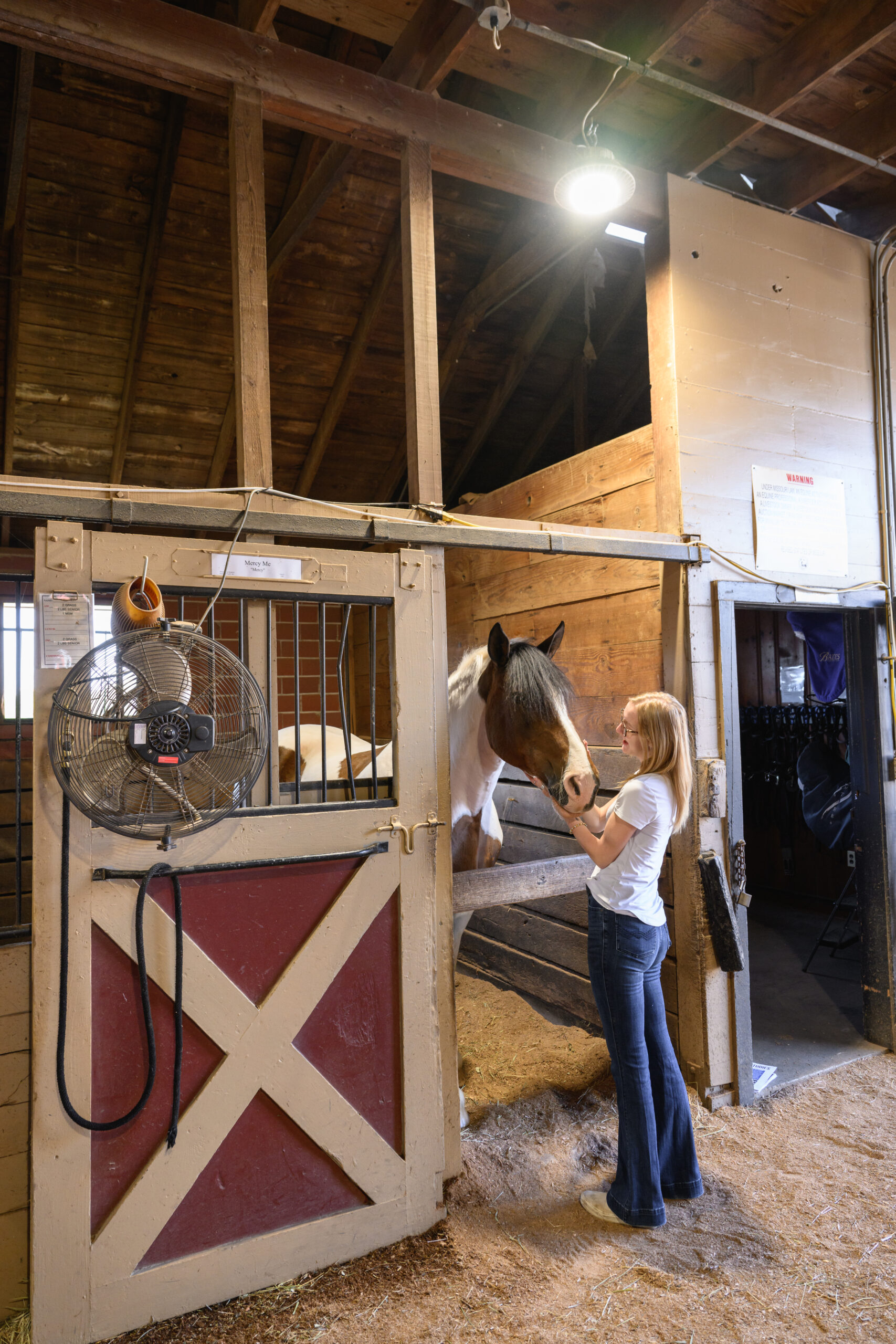 Stephens student interacts with a horse at the Stables