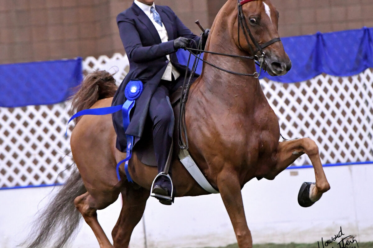 Equestrian student competes at a show