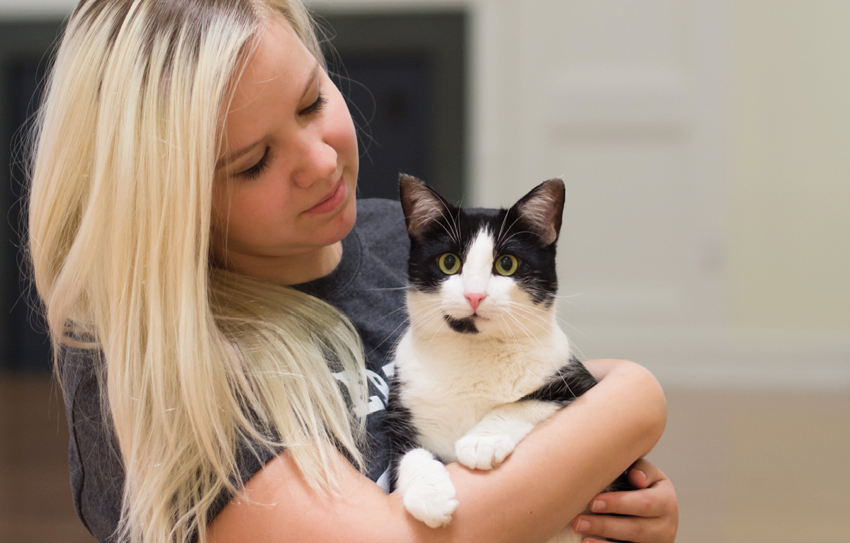 Walter, a tuxedo cat, being held by his person.