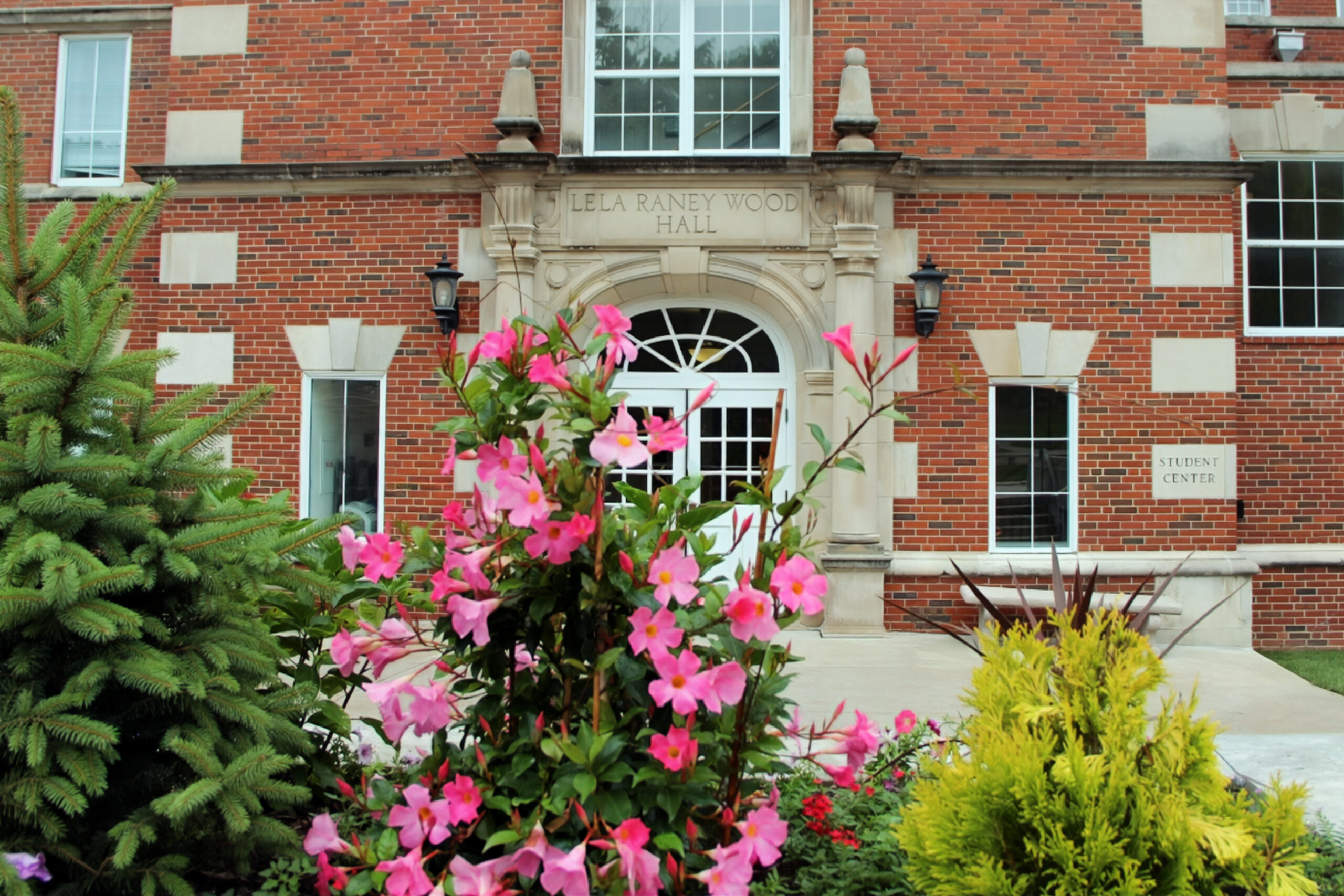 Azalea bush in front of academic building