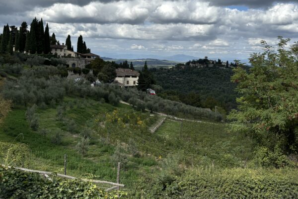 An Italian countryside vista