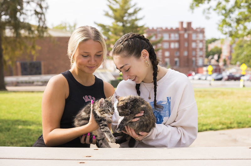 Students with cats on campus