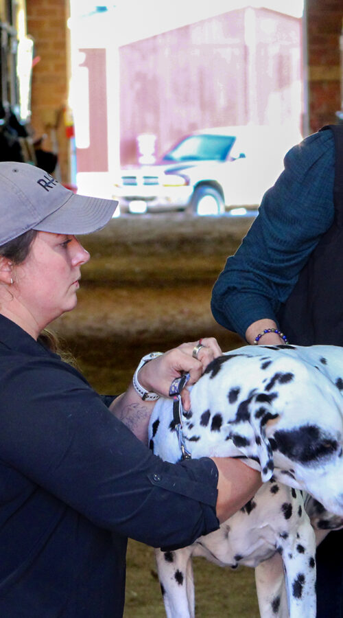 WIN Every Day Seminar Empowers Girls in Columbia