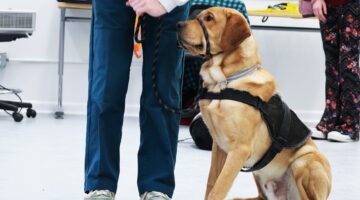 Paws With a Purpose: Stephens Students Train Service Dogs That Change Lives