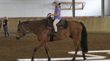 Horsemanship Camps